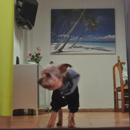 Casa de Férias Algarve Vacations Flat *